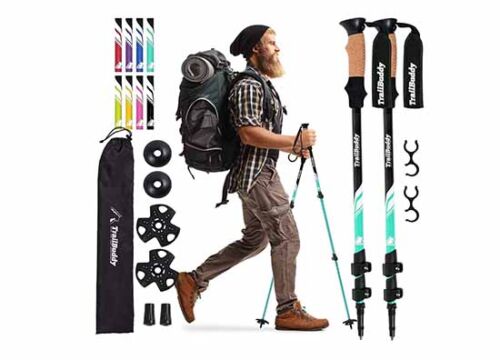 TrailBuddy Trekking Poles